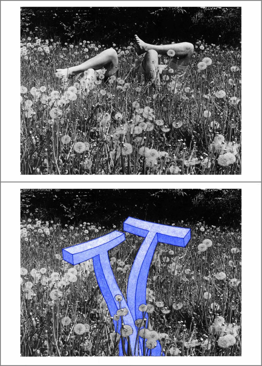 Flirter. (fleurs-T). Un rébus réalisé par Max de Larminat à partir d’une carte postale détournée représentant initialement deux paires jambes nues surgissant d’un lit de fleurs qui cache leurs propriétaires couchés dans ce champs de fleurs. Pour les besoins de ce rébus, j’ai fait surgir à la place de ces jambes deux “T“ fort érectiles et ondulants, étroitement collés l’un à l’autre.